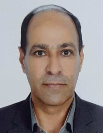 ایرج صفری