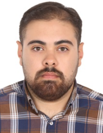 امیرحسین محمودی میمند