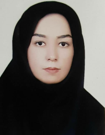 نیکو عزیزی بندرآبادي