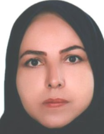 نرگس شیخ صادقی