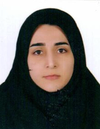 مریم ابراهیمی طرزم