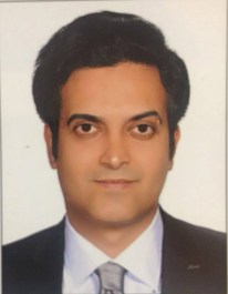 هادی برزین