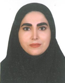 زینب احمدی دیبا