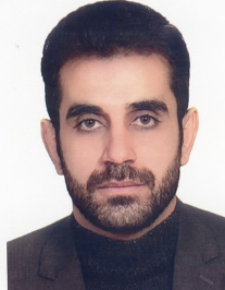 مجتبی پورکاوه دهکردی
