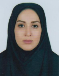 سیده شادی موسوی