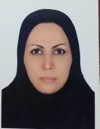 حمیده حمیدی فر