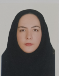 مینو نام آوری