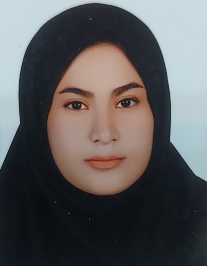 زینب عباس زاده حاجی آبادی