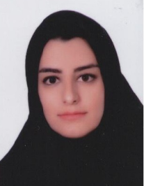 مولود سیدولی زاده