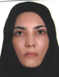 اکرم میرمحمدصادقی