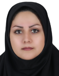 سیده حبیبه حسینی