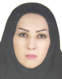 مینا حجتی