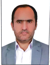 هادی شفیعی سیف آبادی