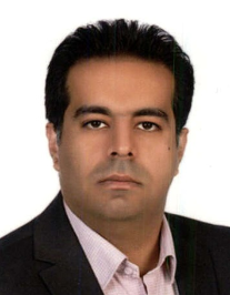 مجتبی معین وزیری