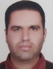 میثم روستا