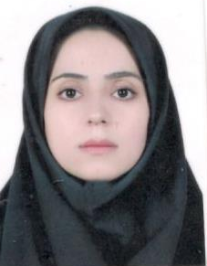 حسنی فلاحی سلطانکوه