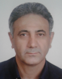 مهدی کرمی ده باغی