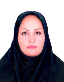 سعیده یوسفی
