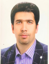 سید مجتبی امامی دوست