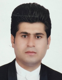 امیرحسین علیزاده