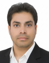 محمد حسین سربی