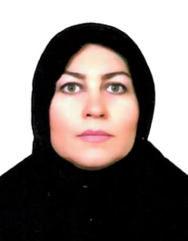 سولماز سعیدی حقی