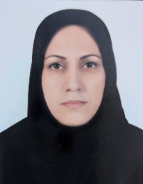 فرزانه سلیمی