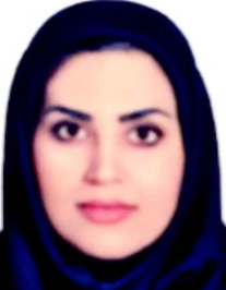 انیس ایرانپورمبارکه