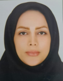 سیده مینا موسوی