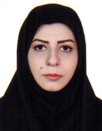 مریم شمس الدین میگونی