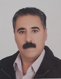 بهزاد ملکی