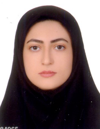 عرفانه بصیرت