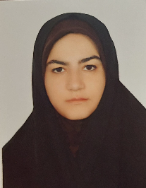 مینا سلطانی