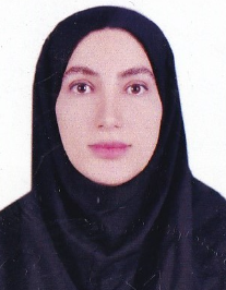 گندم حیدری