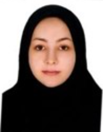 عطیه حامدی