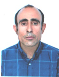 علی ولی پور
