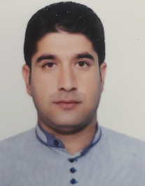 هادی شاهینی