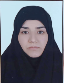 سیده نسیبه حسینی