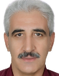 حسن علی ویس کرمی