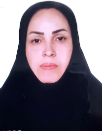 خدیجه احمدی مقدم