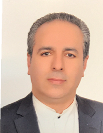 سید مرتضی مهدوی