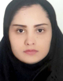 مینو صفری