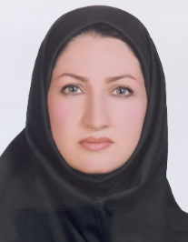 مریم ایروانی محمد آبادی