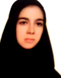 مائده بازرگانی