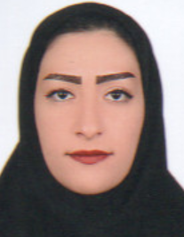 نگار برادران