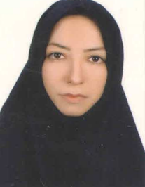 نجیبه یوسف زاده