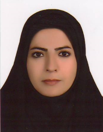 لیلا مقدم خانه برق