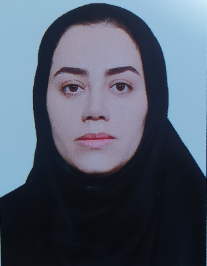 روژین خدامرادی