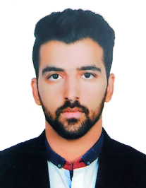 منصور سلطانی نژاد