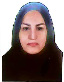 عاطفه زائرزاده